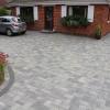 tegula 21